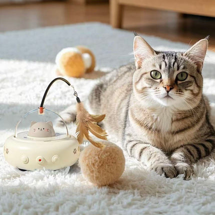 Dr Todd’s Smart Cat Toy – USB Charging Laser Toy with Automatic Movement