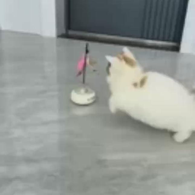 Dr Todd’s Smart Cat Toy – USB Charging Laser Toy with Automatic Movement